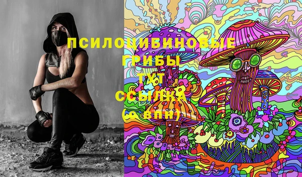 скорость Алзамай