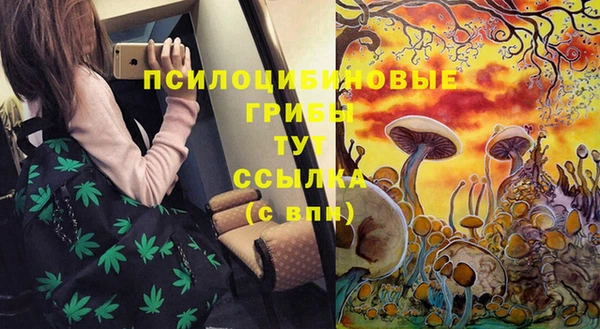 скорость Алзамай