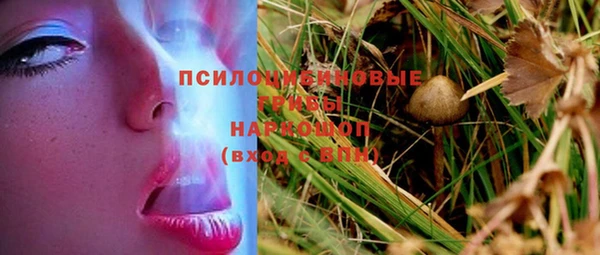 каннабис Алексин